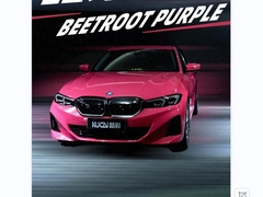 رنگ TPU-Betroot Purple