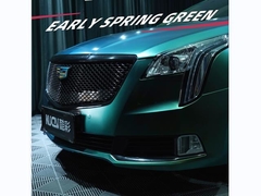 TPU-سبز بهار اولیه (بخش درخشنده)